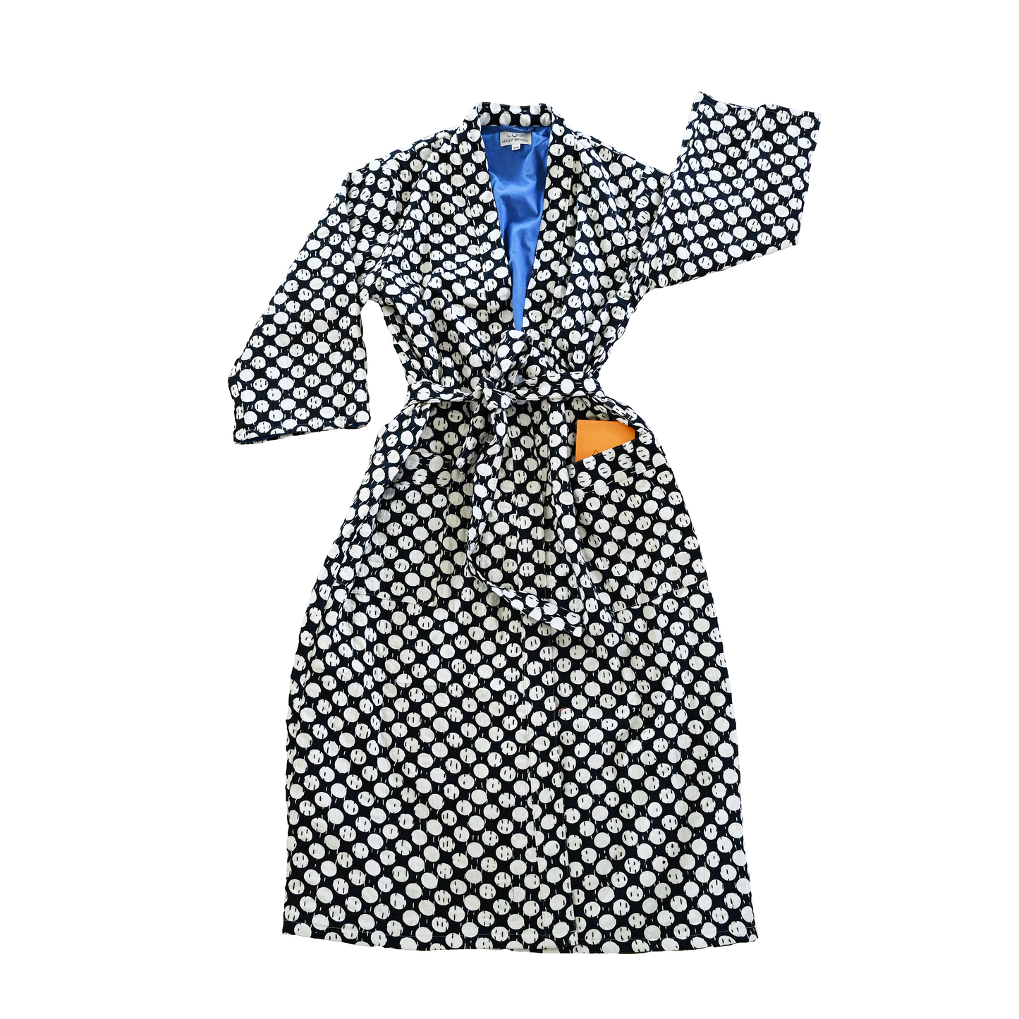 A Prospect Robe