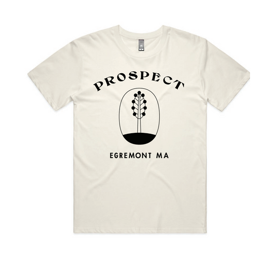 Adult Short Sleeve T-Shirt in Ecru