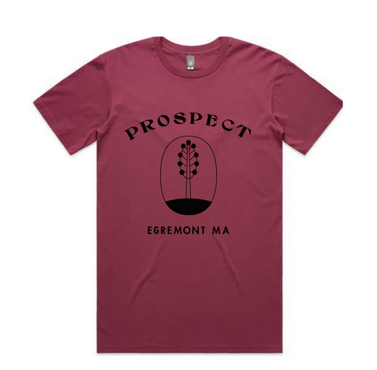 Adult Short Sleeve T-Shirt in Berry